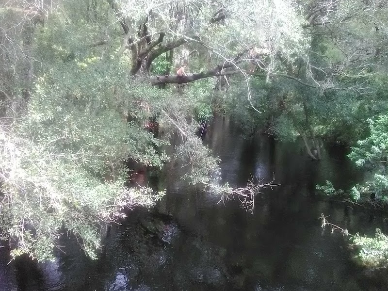 Celtic Dr. Bridge photo 3