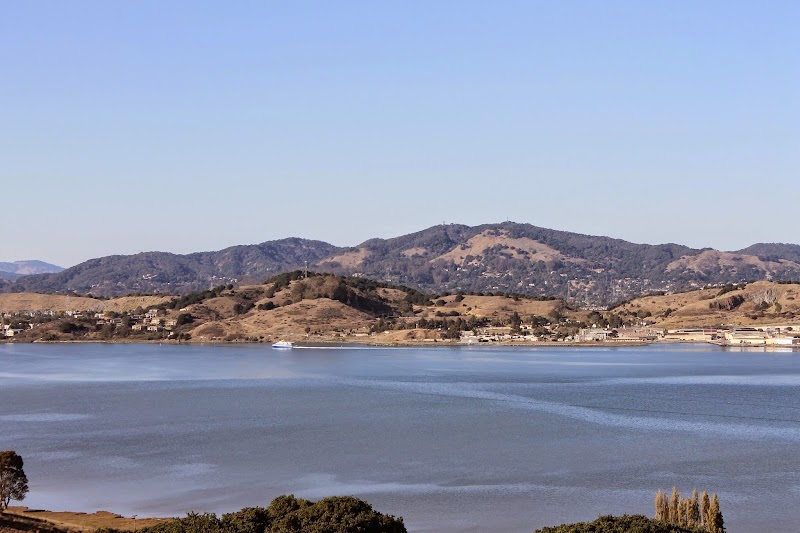 Photo of Pain Relief Clinic of Marin