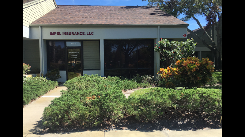 Impel Insurance, LLC photo 5