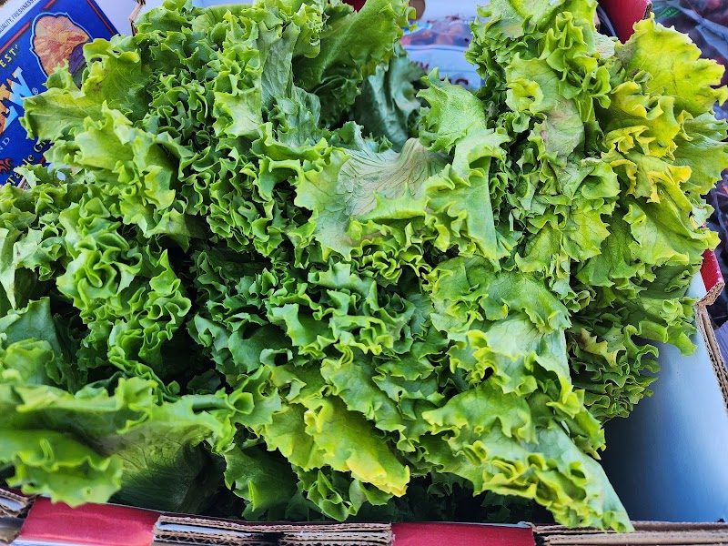 Casa Grande Farmers Market photo 5