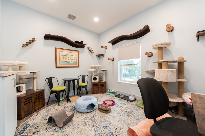 Whiskers Workspace photo 4