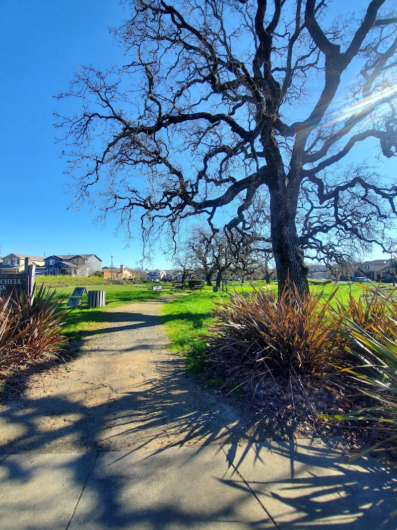 Photo of R T Mitchell Park
