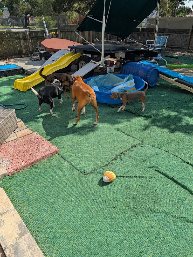 Photo of Skippers Sanctuary