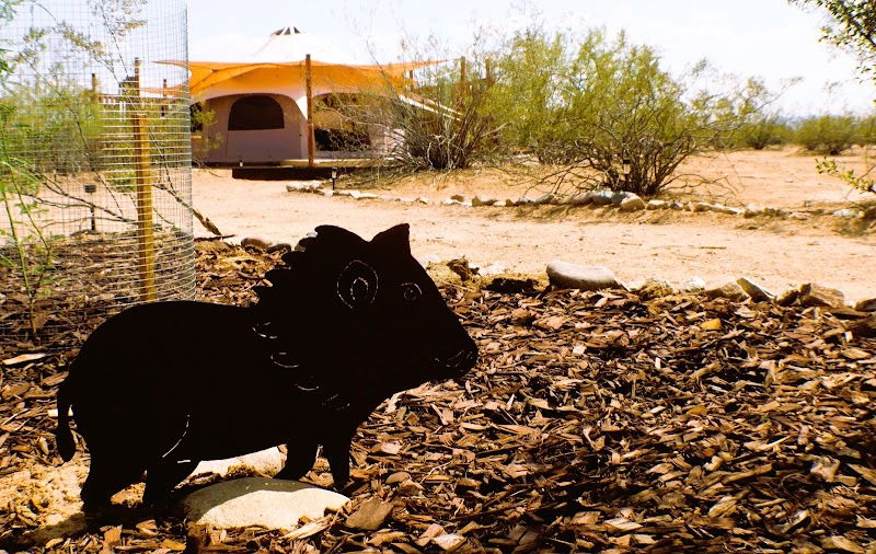 Mesquite Haven photo 4
