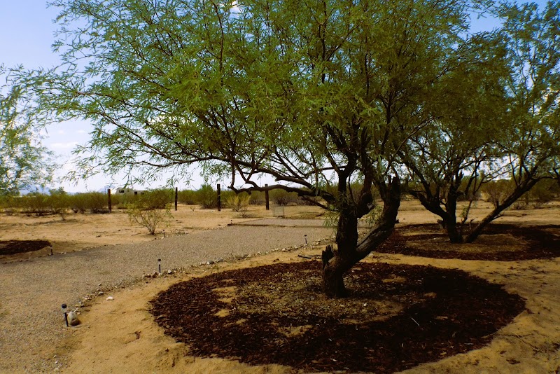Mesquite Haven photo 5