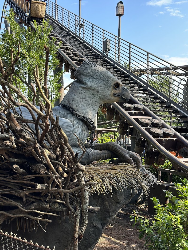 Flight of the Hippogriff photo 5