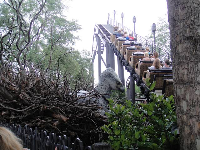Photo of Flight of the Hippogriff