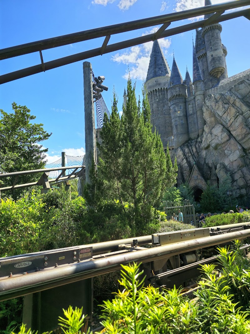 Flight of the Hippogriff photo 4