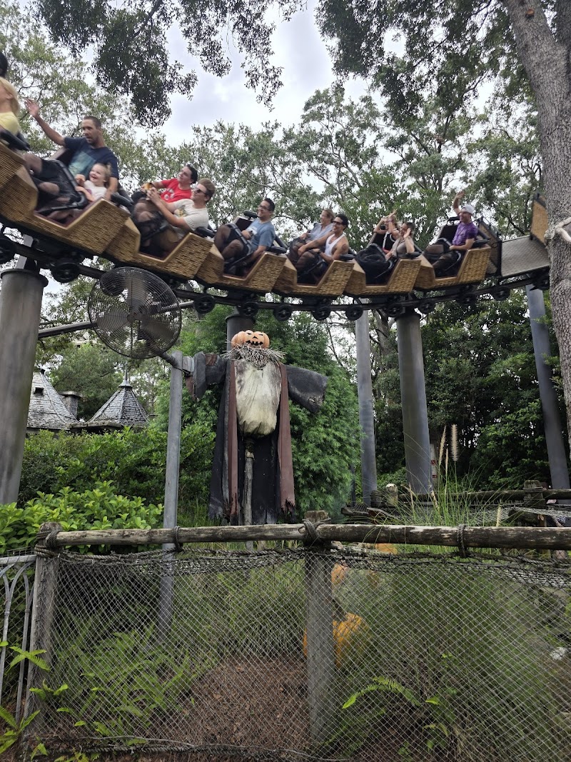 Flight of the Hippogriff photo 2