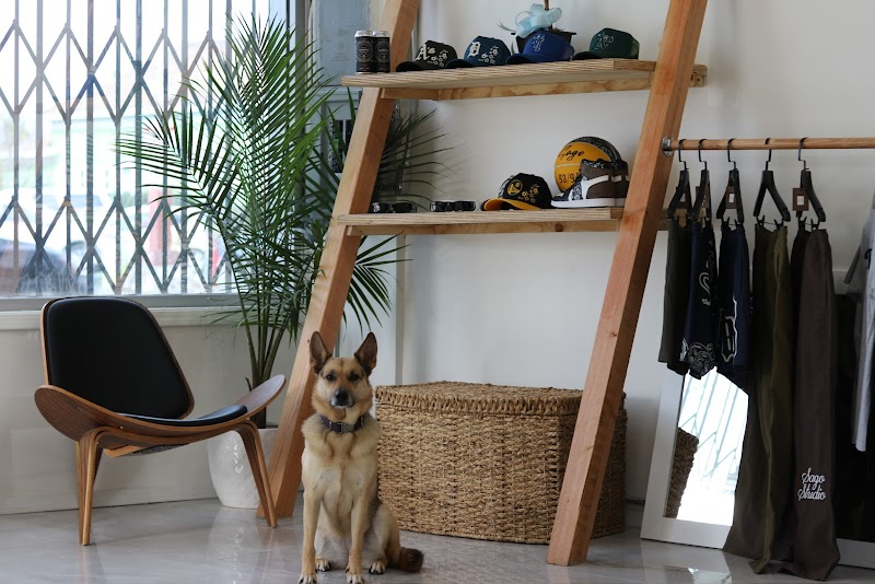 Studio by Sago photo 4