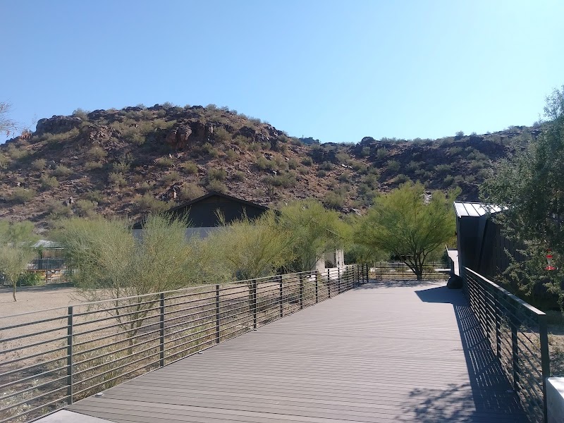The Parsons Leadership Center for Girls and Women at Camp South Mountain photo 3