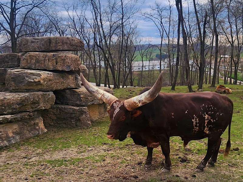 The Farm At Walnut Creek photo 4