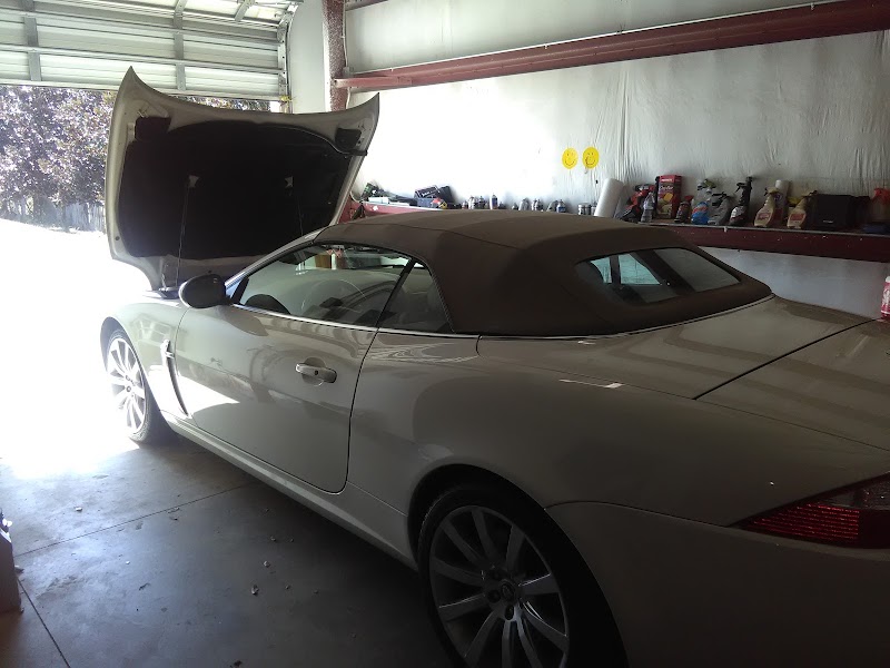 Photo of Port Tampa Auto Group