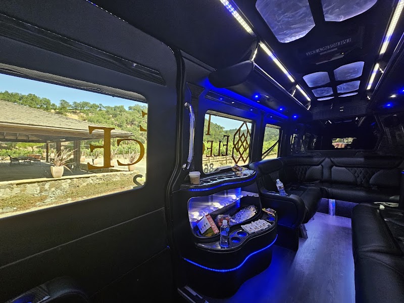 True Elegance Tours & Transportation | Napa Charter Bus | Sprinter Limo | Wedding Shuttles photo 2