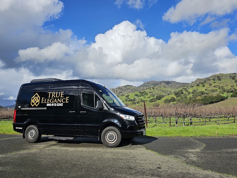 True Elegance Tours & Transportation | Napa Charter Bus | Sprinter Limo | Wedding Shuttles photo 3