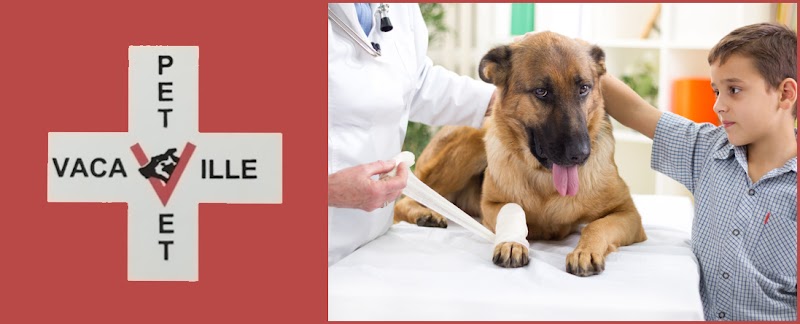 Photo of Vacaville Pet Vet Clinic, Inc.