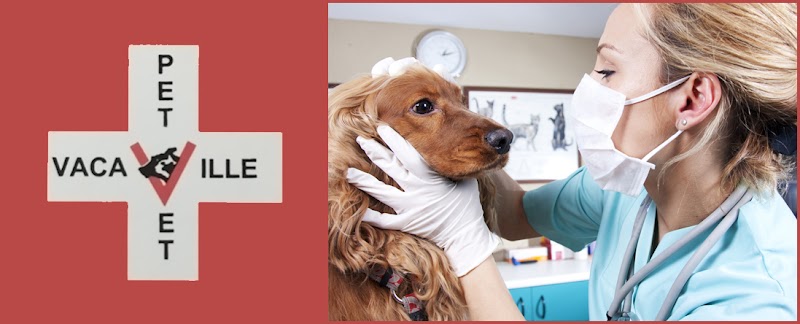 Vacaville Pet Vet Clinic, Inc. photo 5