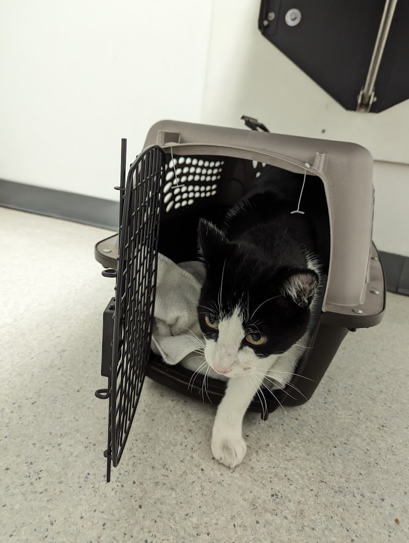 Cupertino Animal Hospital photo 2