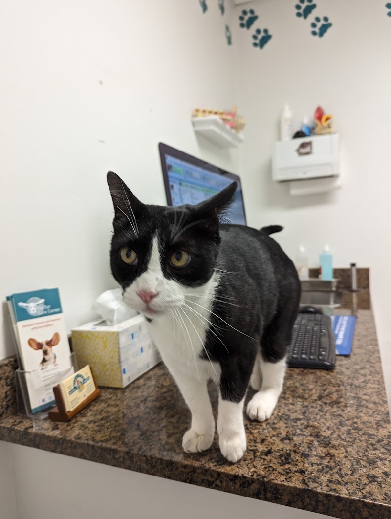 Photo of Cupertino Animal Hospital