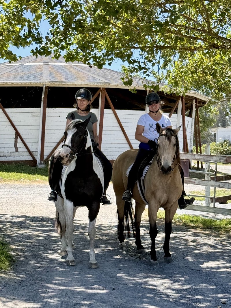 Photo of Wine Country Sporthorse