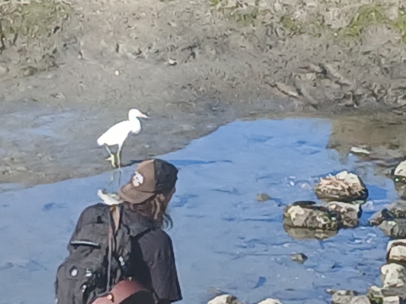 San Diego River photo 4