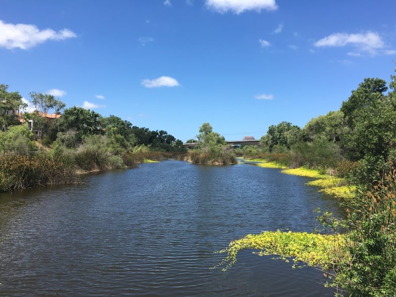 Photo of San Diego River