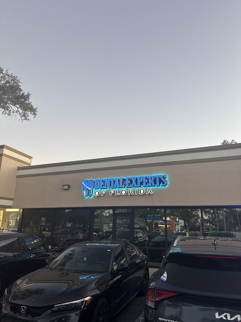 Dental Experts of Florida Clearwater photo 4