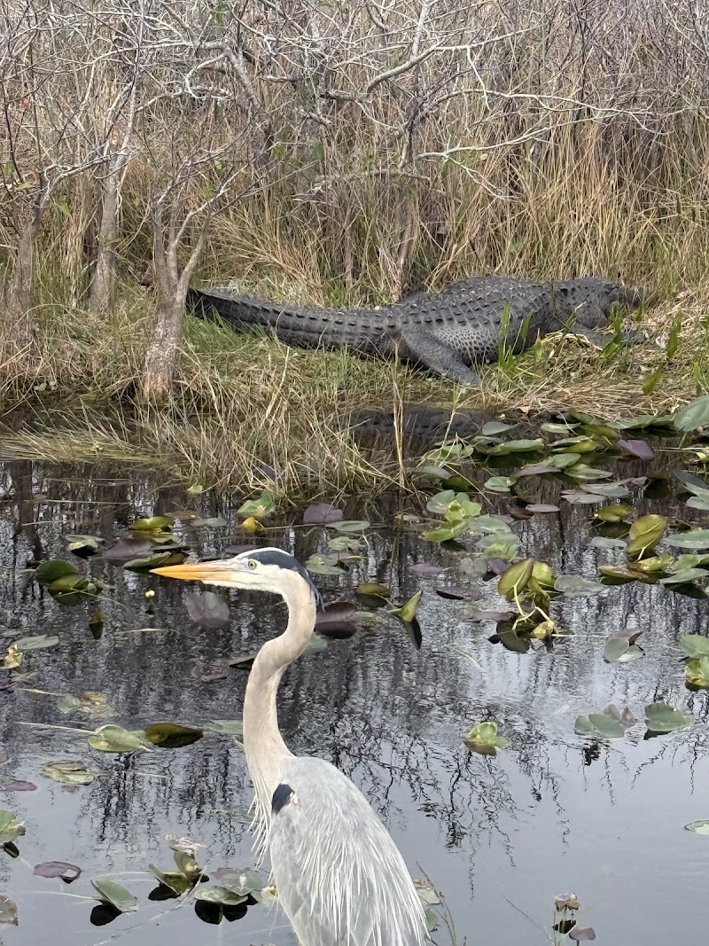 Shark Valley Visitor Center photo 4