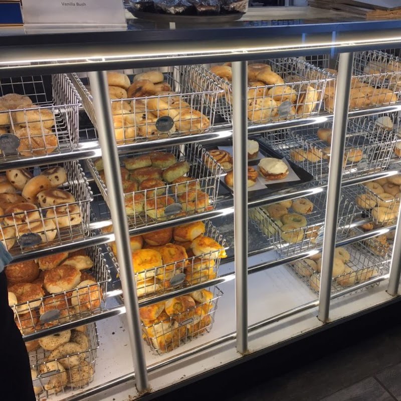 Photo of The Bagel Co.