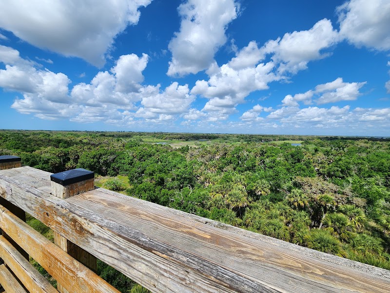 Photo of Myakka River State Park