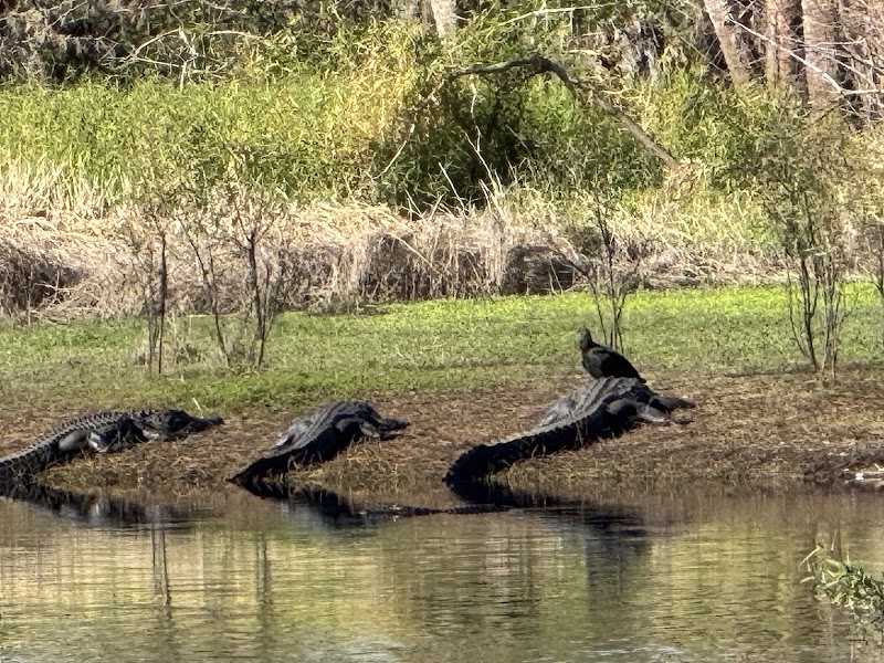 Myakka River State Park photo 3