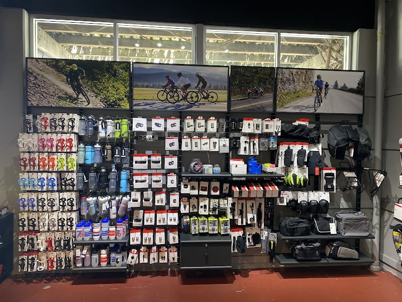 Trek Bicycle Corte Madera Marin photo 3