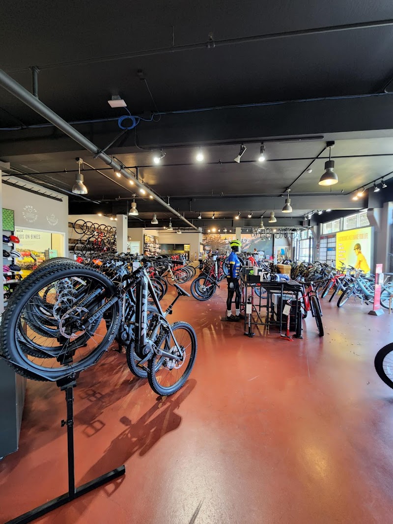 Trek Bicycle Corte Madera Marin photo 5