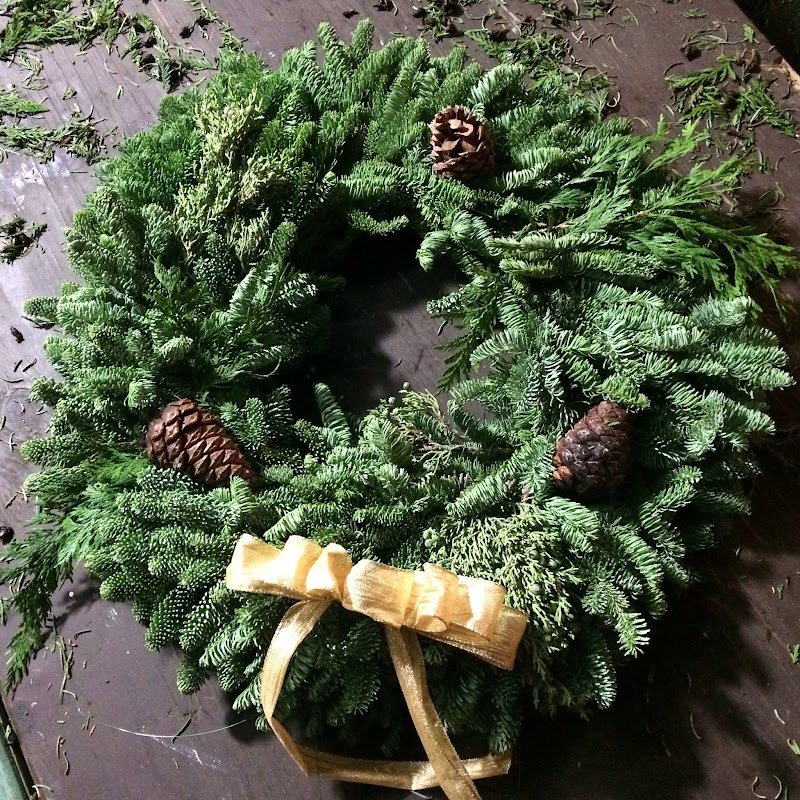 Sea Scouts Christmas Trees photo 5