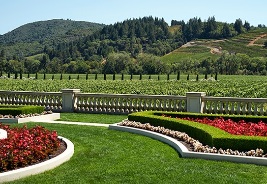 Beau Wine Tours & Charter Services photo 4
