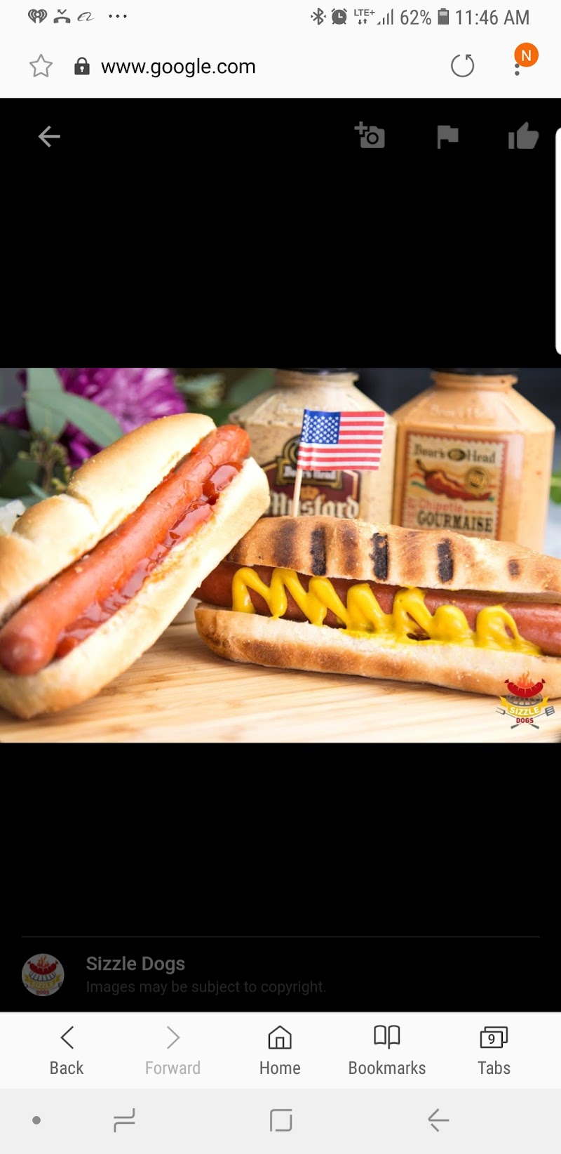Oly Dog House photo 2