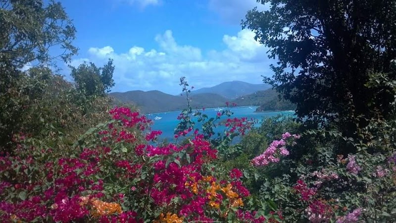 Apollo Vacations photo 4