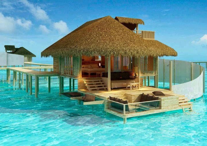 Apollo Vacations photo 2