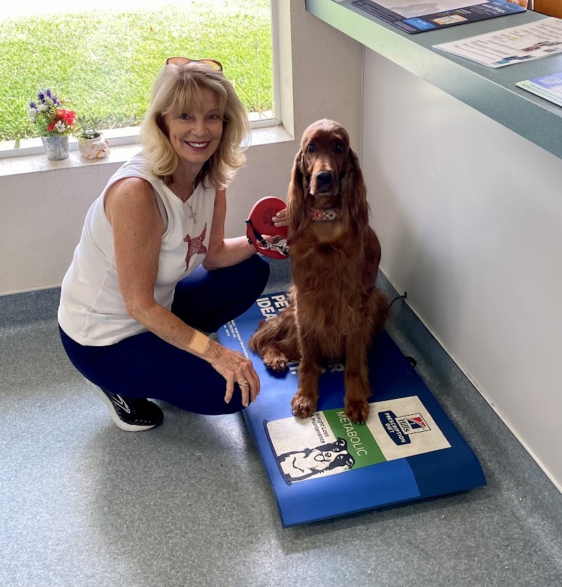 Oak Animal Hospital photo 4