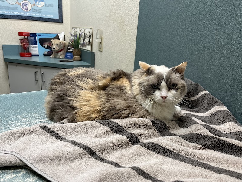 Oak Animal Hospital photo 3