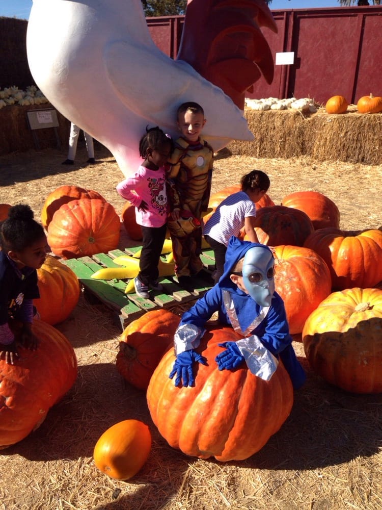 Caster’s Family Child Care photo 3