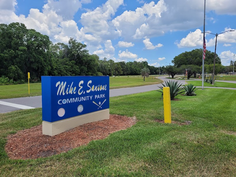 Mike E Sansone Community Park photo 3