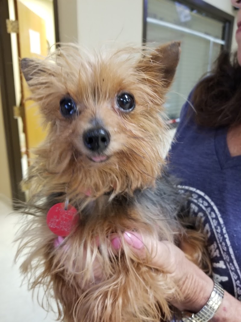Boulevard Pet Hospital photo 5