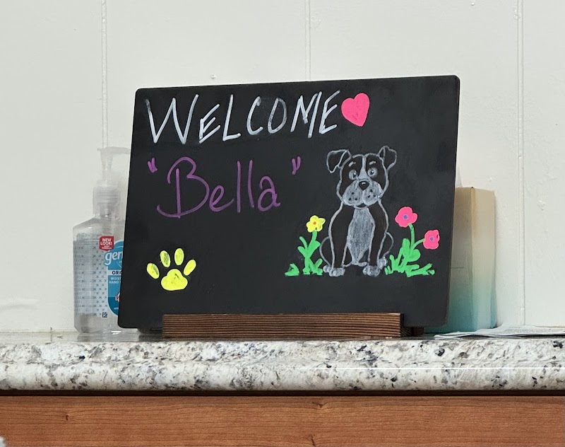 Boulevard Pet Hospital photo 4