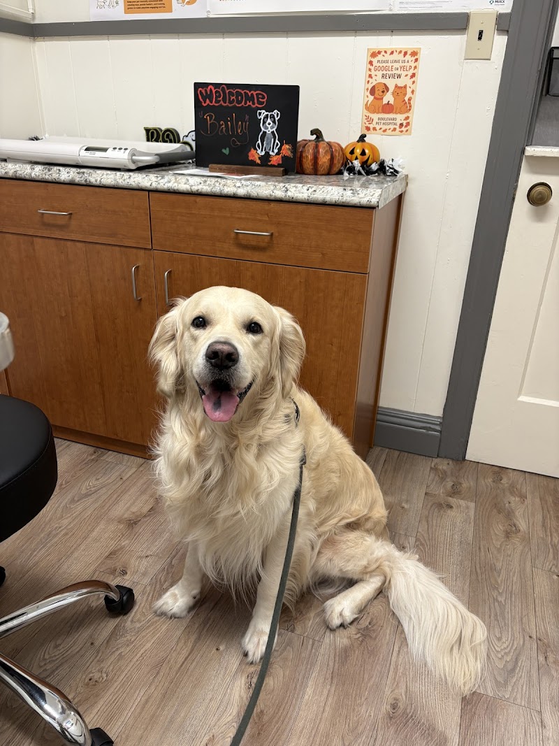 Photo of Boulevard Pet Hospital