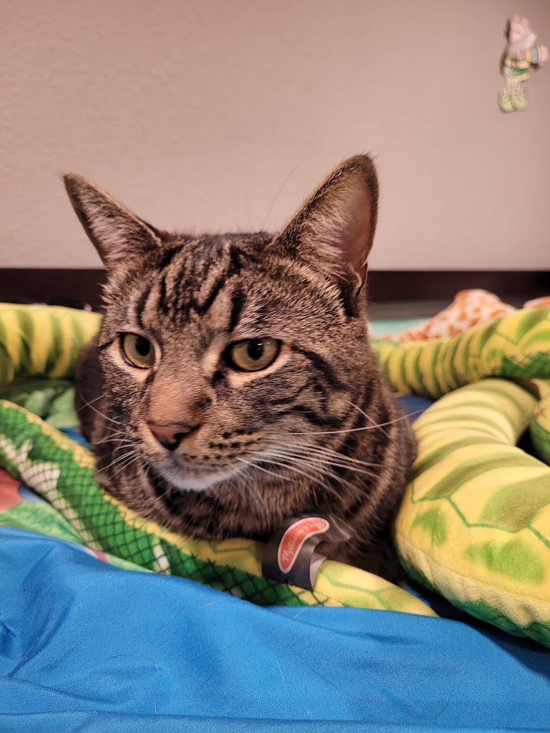 Boulevard Pet Hospital photo 2