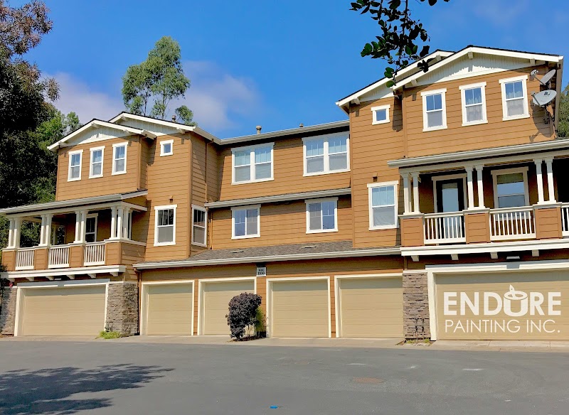 Photo of Endure Painting
