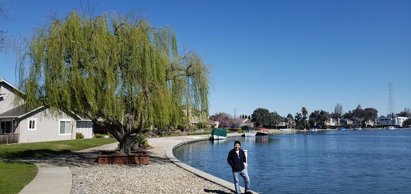 Harborside Foster City photo 4