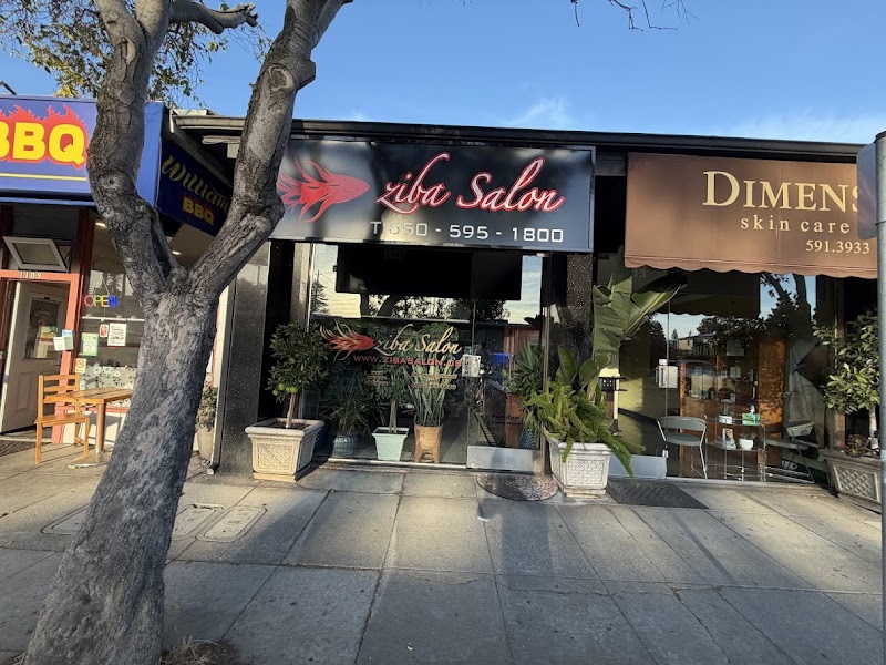 Photo of Ziba Salon