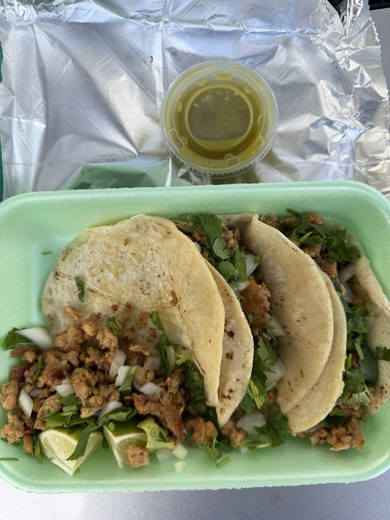 Taco vanny photo 4